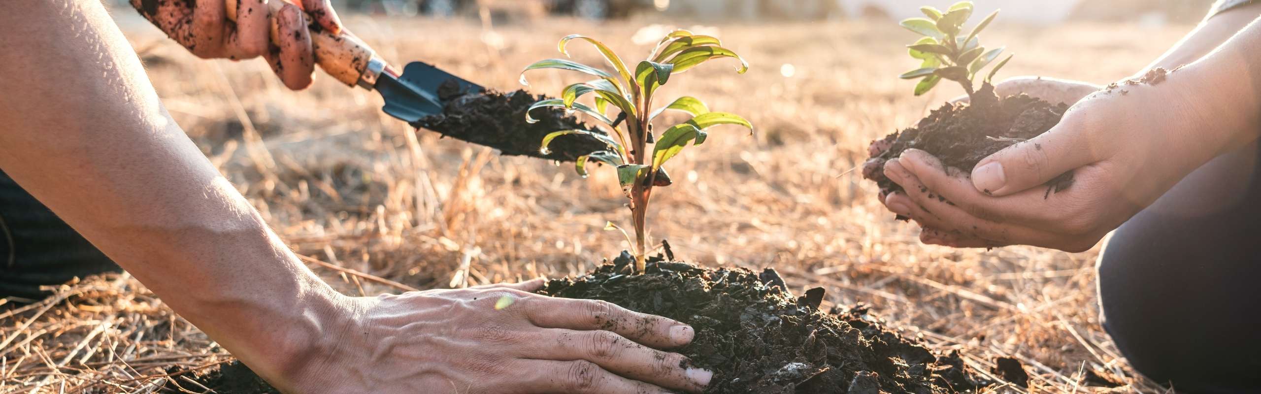 Nature-based solutions