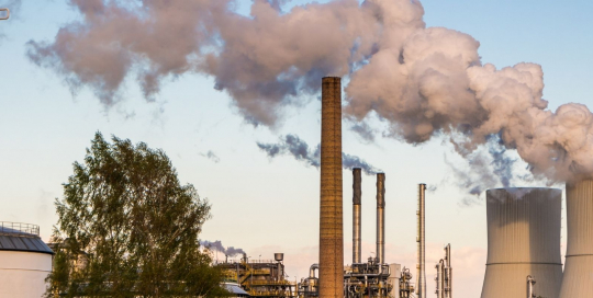 Net Zero Carbon