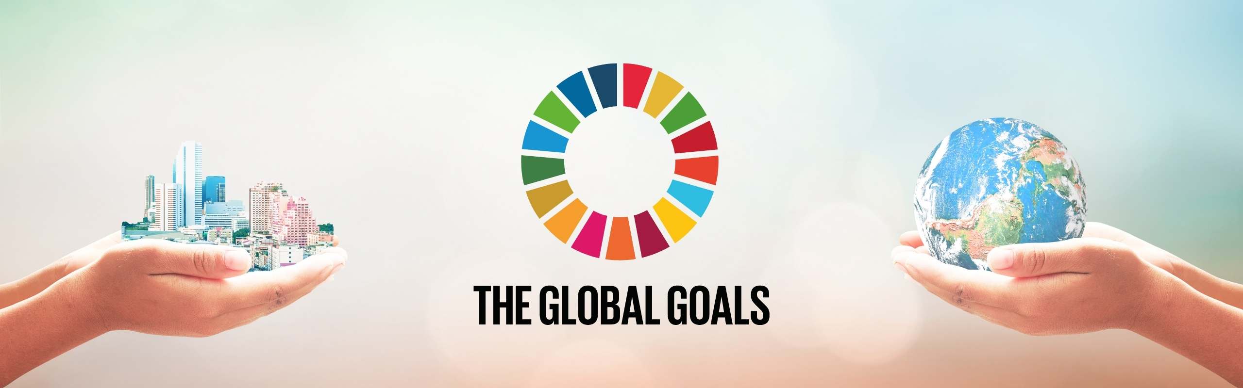 SDGs