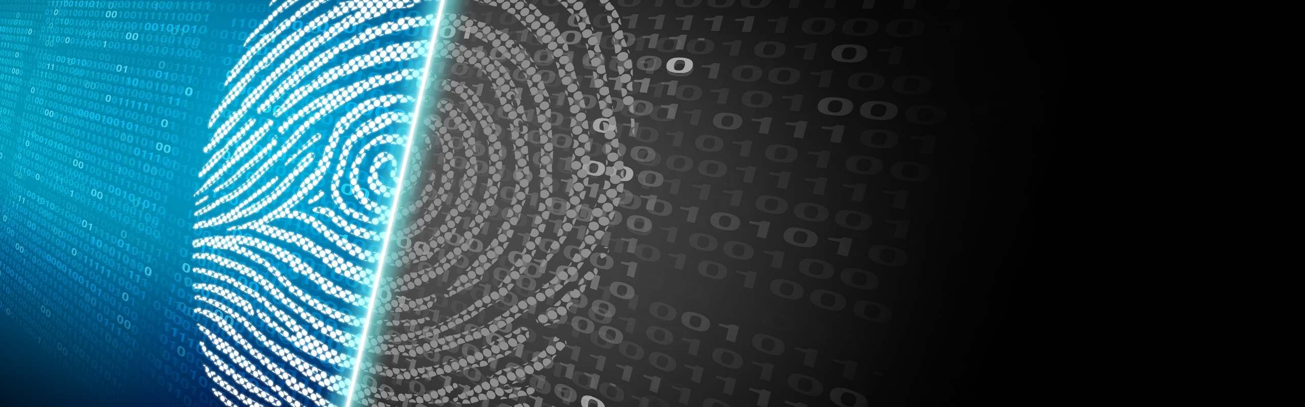 Monitoring Reporting Verification