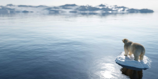 carbon footprint measurement