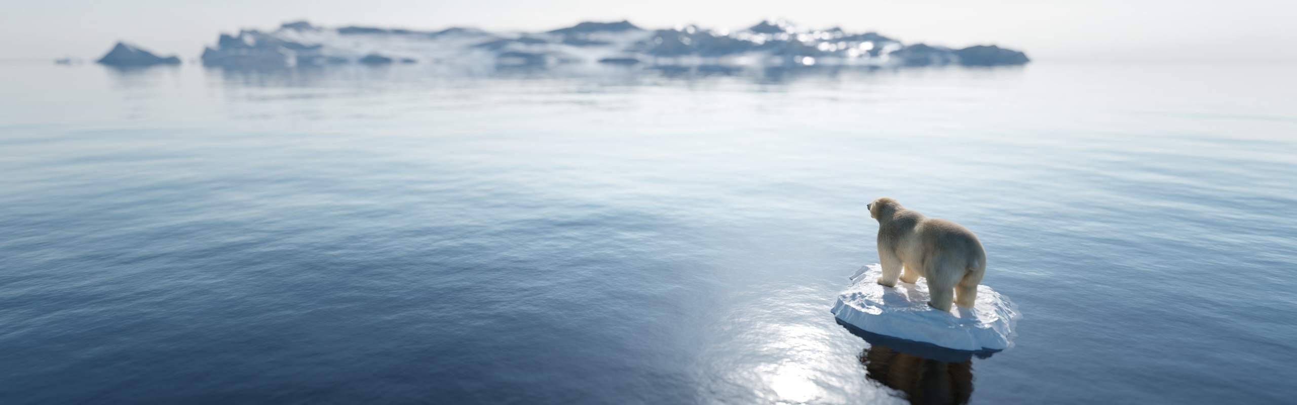 carbon footprint measurement