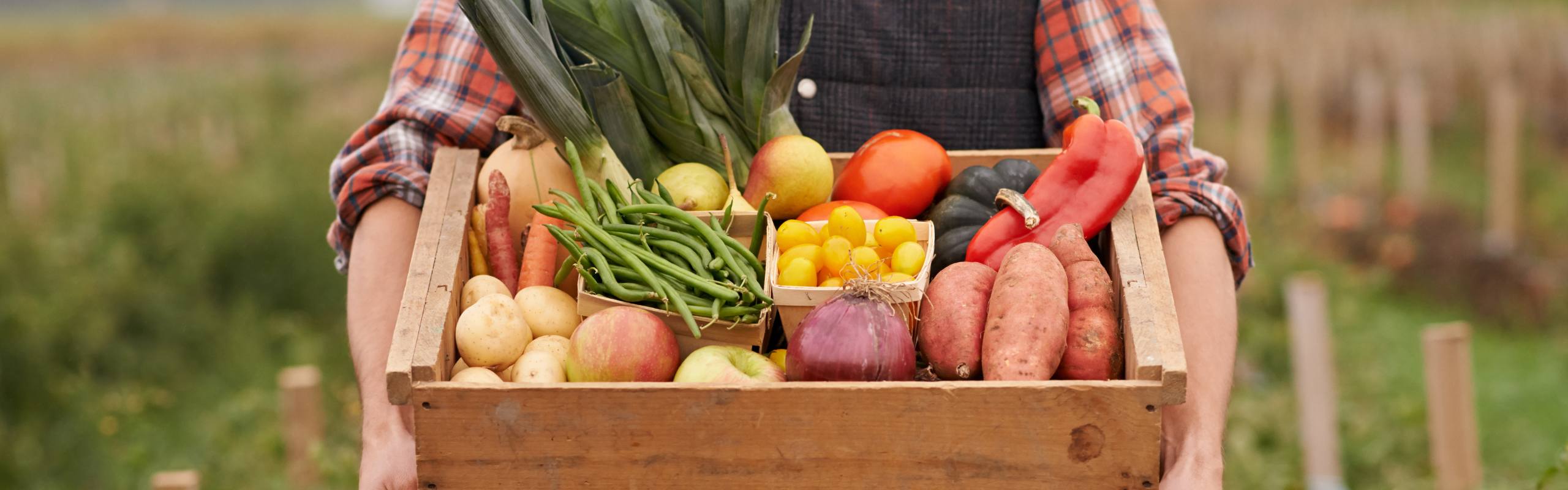 carbon farming regulation