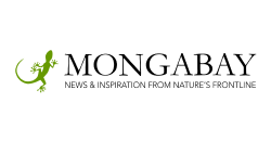 mongabay-logo