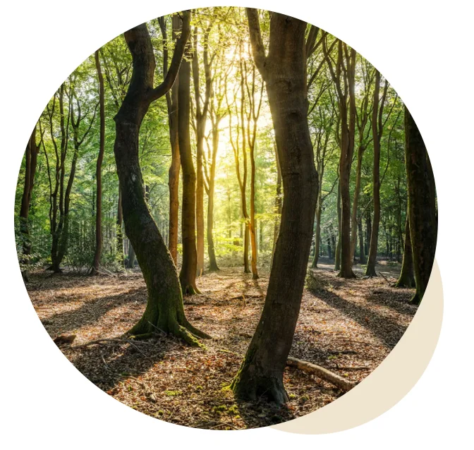 Sell Your Project and Grow Your Positive Impact