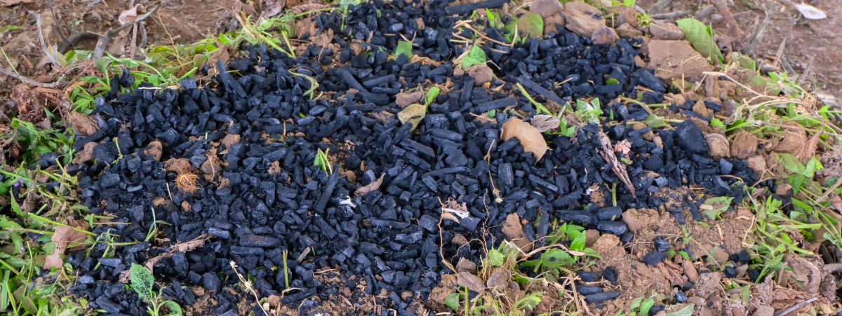 What is Biochar?