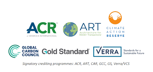 What is the future of voluntary carbon markets?