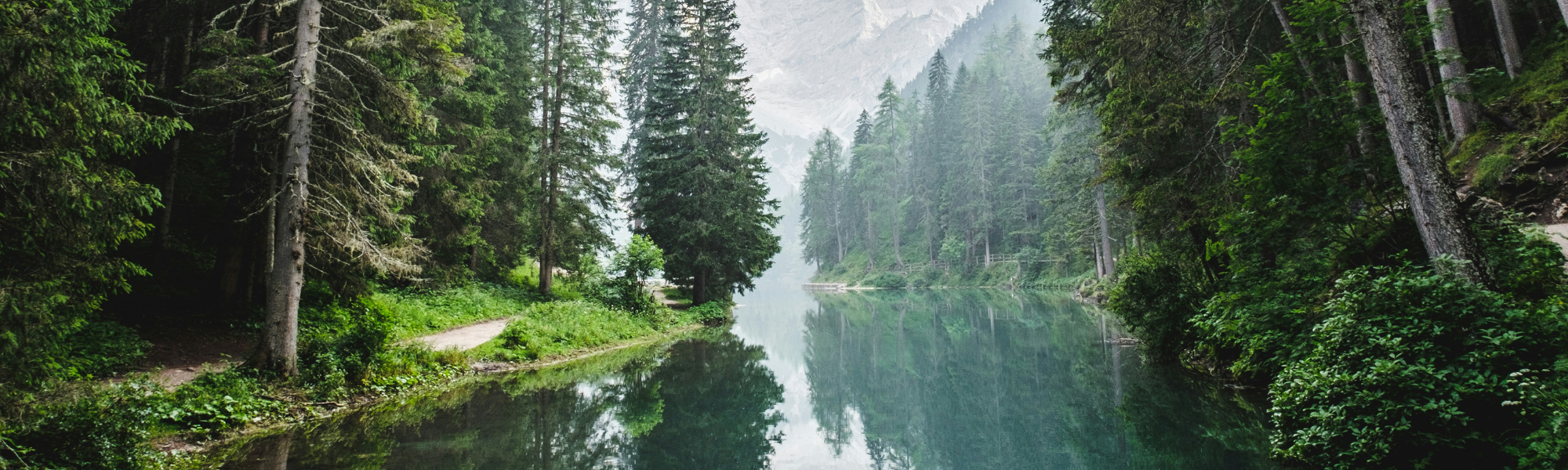 Why is the EU Nature Restoration Law a landmark achievement for Europe’s biodiversity and climate goals?